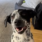 Ralphie Resnick - @ralphie.resnick - Instagram