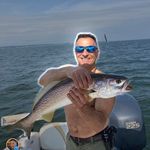 Ralph Ricciardelli - @ricciardelli.ralph - Instagram