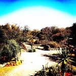 Ralph_Ricketts - @ralph_ricketts - Instagram