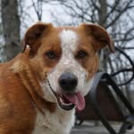Ralph Riggs - @ralphlriggs - Instagram