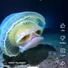 Ralph Spriggs - @ralph.spriggs5 - TikTok