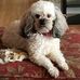 Ralph Rominger - Facebook