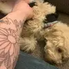 Marilyn Monroe60333 - @ralph.roberts79 - TikTok
