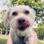 ralphie - @ralphrobertbell - Instagram