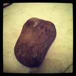 Ralph The Rock - @ralphtherock - Instagram