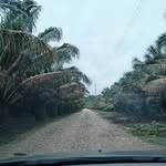 Ralph Salas Agricultura Sostenible - @raul.tomson - Instagram
