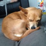 Ralphsalisbury - @ralphsalisbury7701 - Instagram