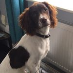 @ralph_salter - Instagram