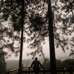 Ralph Samson - @larphsamson - Instagram