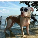 Ralph Samson - @ralphsamson1 - Instagram