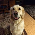 ralph sargent - @ralph.sargent - Instagram