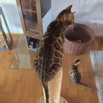 noa_island_lucius_leoti - @ralph_scherer - Instagram