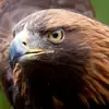 Ralf Scherer - @ralf.scherer - TikTok