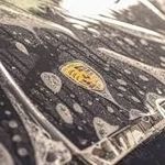 Ralph Scherer - @scherer_ralph - Instagram
