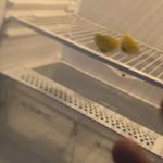 Ralph sahir schmitz - @or0chunaru_0 - Instagram