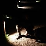 ralph schmitz - @ralphschmitz_active - Instagram