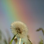 Ralph Schultes - @ralphschultes - Instagram