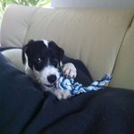 Schi Ri Schu - @ralph.schultz.28 - Instagram