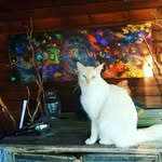 ARTS OF RALPH WEIDLING - @self_of_ralph - Instagram