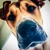 ralphys_selfies - @ralphys_selfies - TikTok
