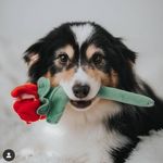 Ralph G Shannon - @georgeshannon604 - Instagram