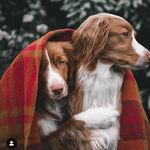Ralph Shannon - @ralphgshannon - Instagram