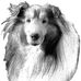 Ralph Sharp - Facebook