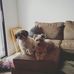 Ralph Sharp - Facebook