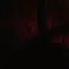 Ralph Shelton - @ralphshelton8 - TikTok