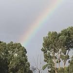 Sherrill Ralph - @sherrill.ralph - Instagram