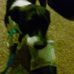 Ralph Shook - Facebook