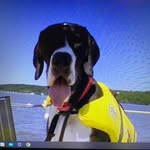 Ralph Short - @ralfsail - Instagram