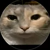 ralphie_shorts - @orbito_sasquito - TikTok