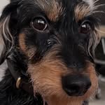 🆃🅴🅲🅺🅴🅻 🆁🅰🅻🅿🅷 - @ralph_smallsausage - Instagram