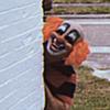 Ralphie Smiley Riley - @ralphie.smiley.riley - TikTok