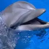 gabrielralphsoler - @gabrielralphsoler - TikTok
