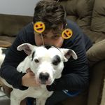 Ralph Sousa - @ralph_o_pitubull - Instagram