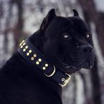 Ralph  de   Souza - @ralphde.souza - Instagram