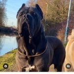Ralph souza - @ralphsouza73 - Instagram