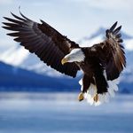 Ralph Souza - @ralphsouza77 - Instagram