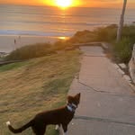 Ralph Sparrow - @__ralphsparrow__ - Instagram