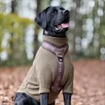 Ralph Field 🍂🧡🍁 - @ralph.the.springador - Instagram