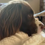 Ralph - @springador_ralph - Instagram