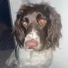 ralphie❤️❤️ - @ralph.thespringa.x - TikTok