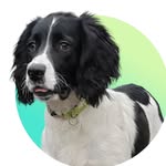 @ralphspringer22 - Instagram