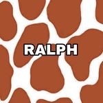 ralph 🐾🐾 - @ralph.thespringerspaniel - Instagram