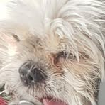 Ralph Springer - Facebook