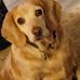Ralph Squires - Facebook