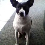 Ralph Stacks - @ralphstacks - Instagram