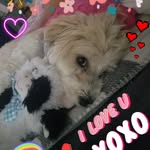 jaylynn - @ralph.starr.9 - Instagram